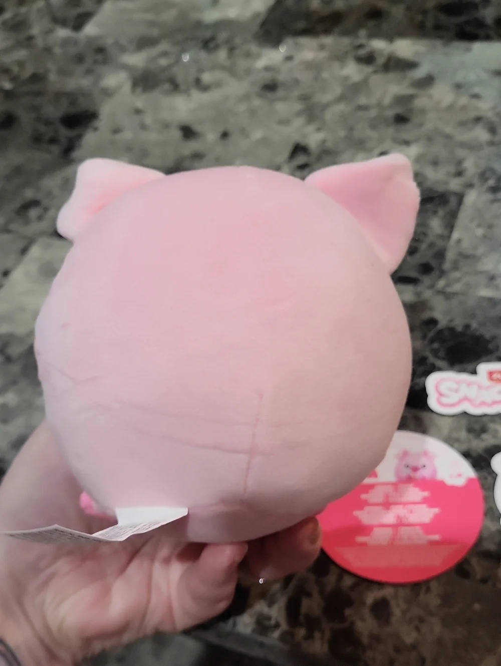 Zuru Snackles Piggy Anna